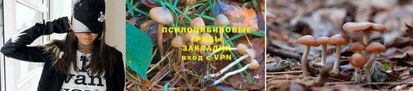кокс Баксан